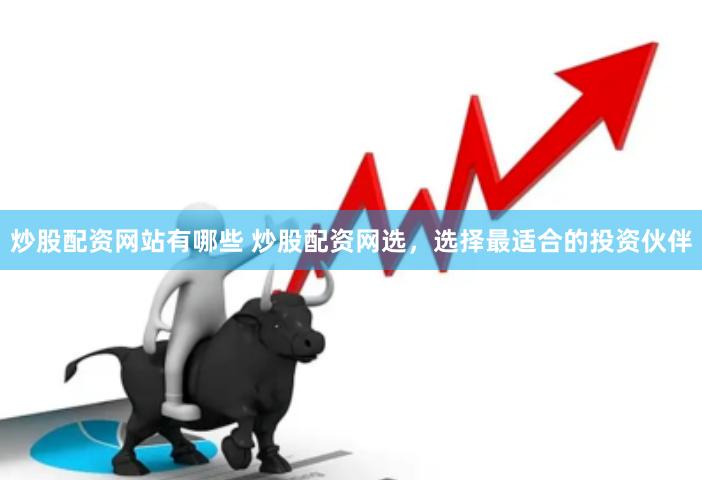炒股配资网站有哪些 炒股配资网选，选择最适合的投资伙伴