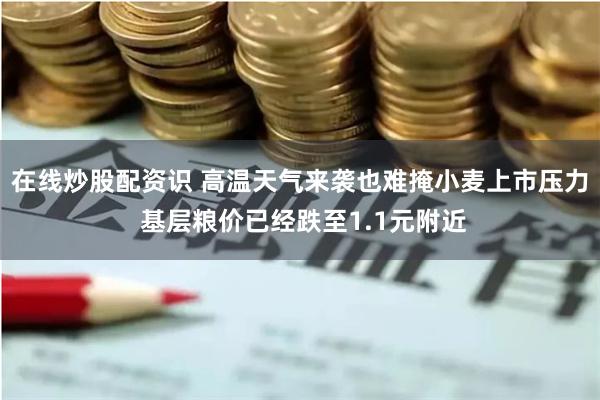 在线炒股配资识 高温天气来袭也难掩小麦上市压力 基层粮价已经跌至1.1元附近