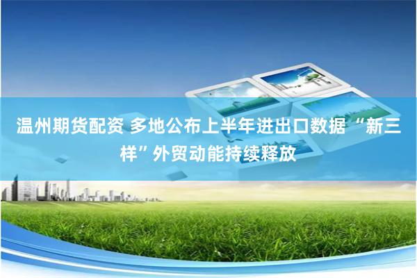 温州期货配资 多地公布上半年进出口数据 “新三样”外贸动能持续释放