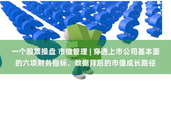 一个股票操盘 市值管理 | 穿透上市公司基本面的六项财务指标，数据背后的市值成长路径