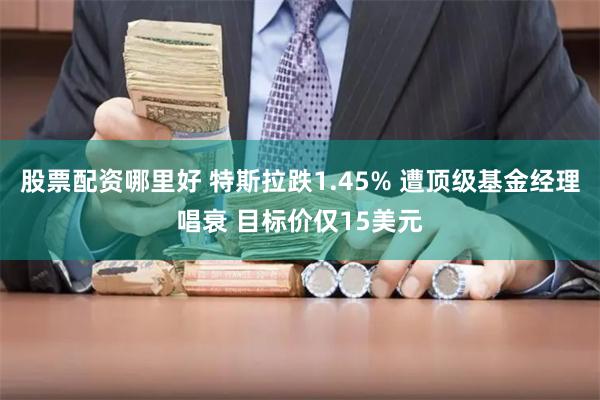 股票配资哪里好 特斯拉跌1.45% 遭顶级基金经理唱衰 目标价仅15美元