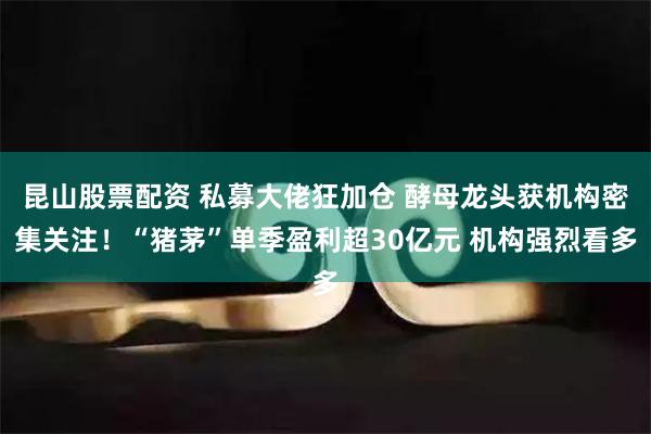 昆山股票配资 私募大佬狂加仓 酵母龙头获机构密集关注！“猪茅”单季盈利超30亿元 机构强烈看多