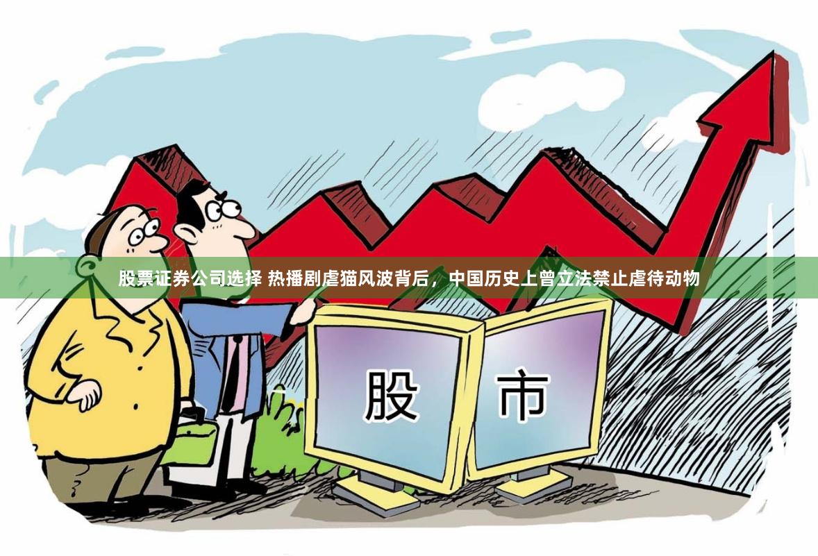 股票证券公司选择 热播剧虐猫风波背后，中国历史上曾立法禁止虐待动物