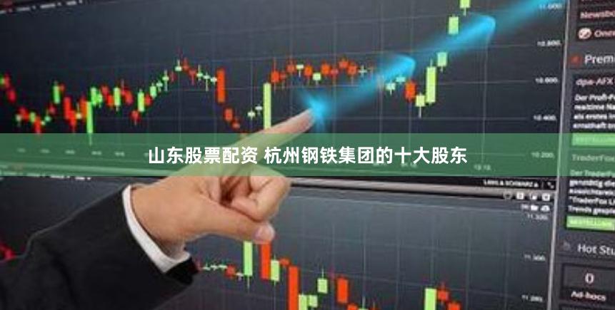 山东股票配资 杭州钢铁集团的十大股东